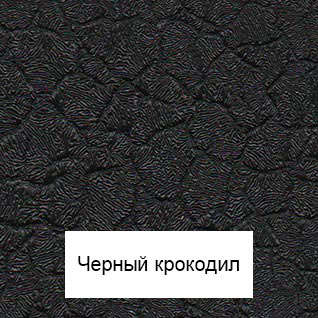 Krokodil-chernyj.jpg